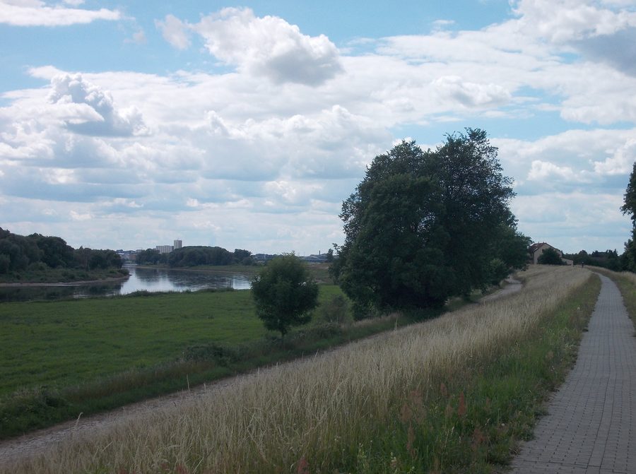L’Elbe près de Moritz dans l’arrondissement de Meißen