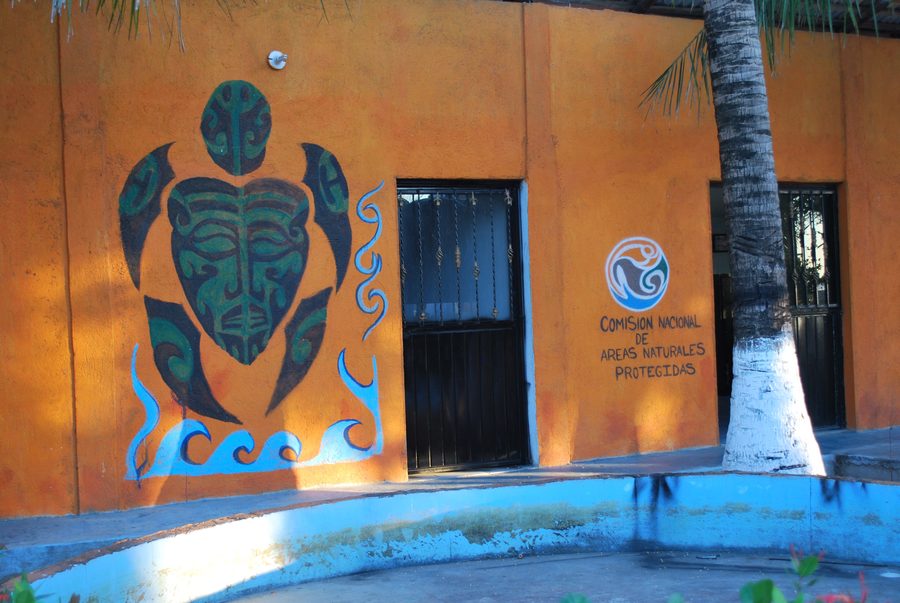 Peinture murale stylisée de tortue marine au sanctuaire des tortues et des alligators de Puerto Arista