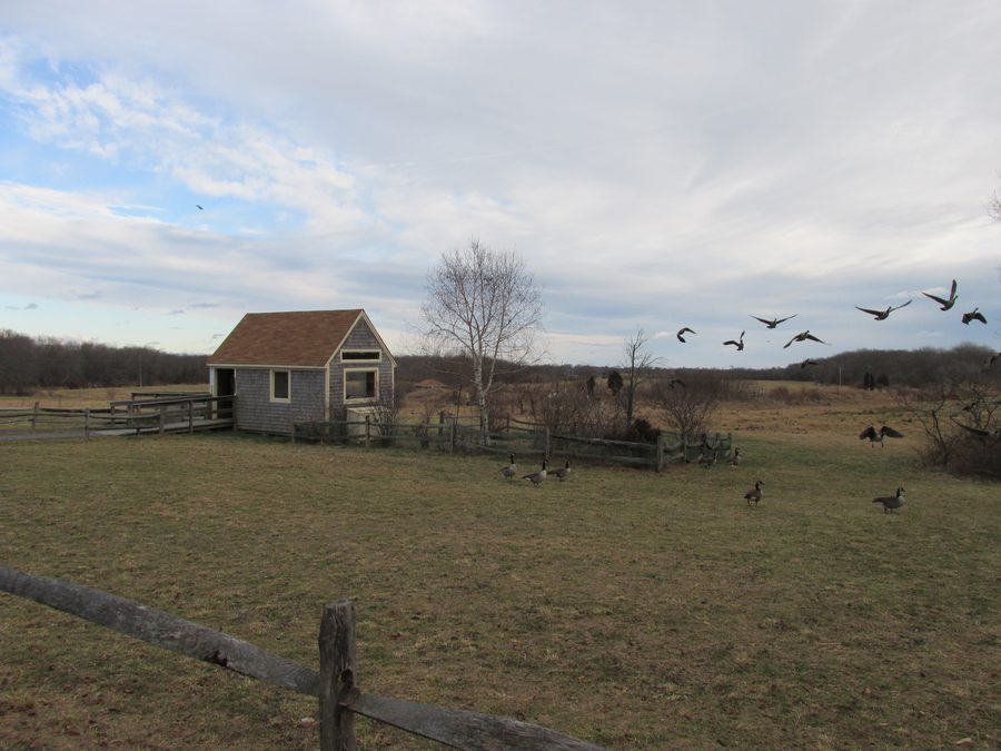 Paysage au Daniel Webster Wildlife Sanctuary à Marshfield, Massachusetts