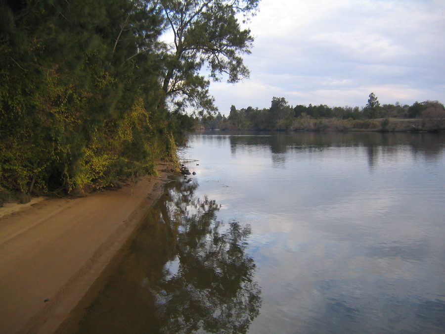 Vue depuis Cattai Wharf sur le paysage du parc national de Cattai