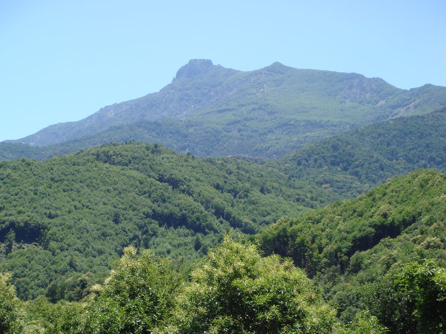 Paysage de montagnes et de vallées de la Castagniccia en Corse