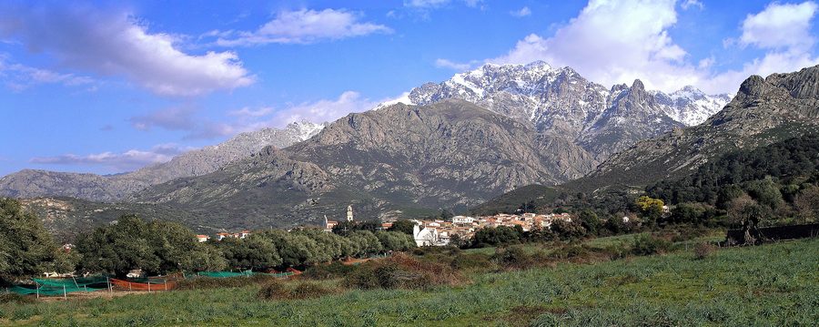 Panorama de Calenzana en Corse avec des oliveraies