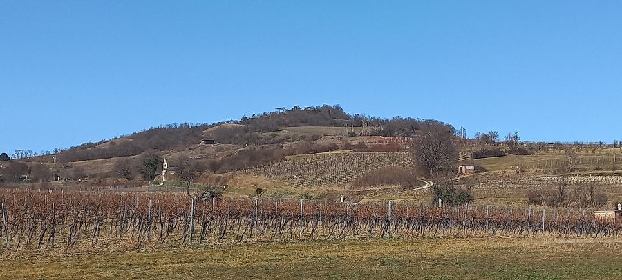 Eichkogel près de l’Anninger avec une chapelle viticole classée et des vignobles