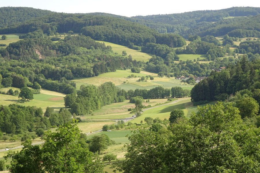 Vue depuis Lichtenberg sur la vallée de Fischbachtal et le Herrensee de Niedernhausen