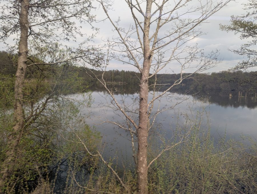 Vue sur la partie nord du Behler See dans les environs de Timmdorf