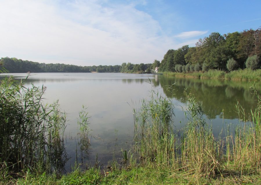 Lac De IJzeren Man à Weert
