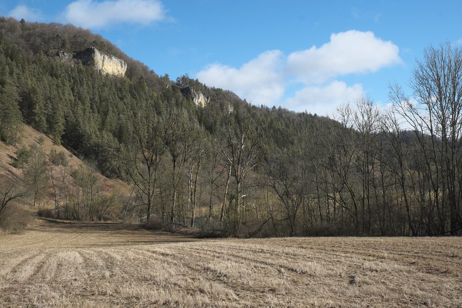 Paysage rocheux et vallée du Danube près de Mühlheim an der Donau
