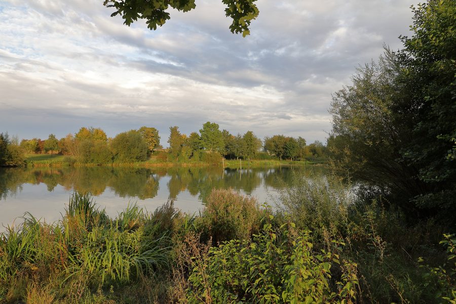 Lac de Rinderfeld près du quartier de Rinderfeld à Niederstetten