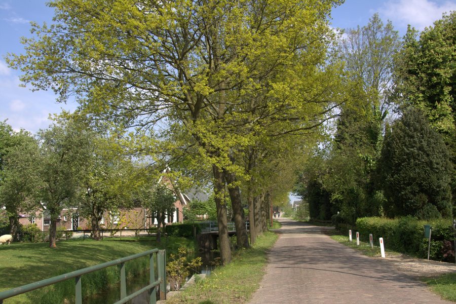 File:De Overeindseweg Gezien vanaf De Batterijen aan de Overeindseweg in Nieuwegein.jpg