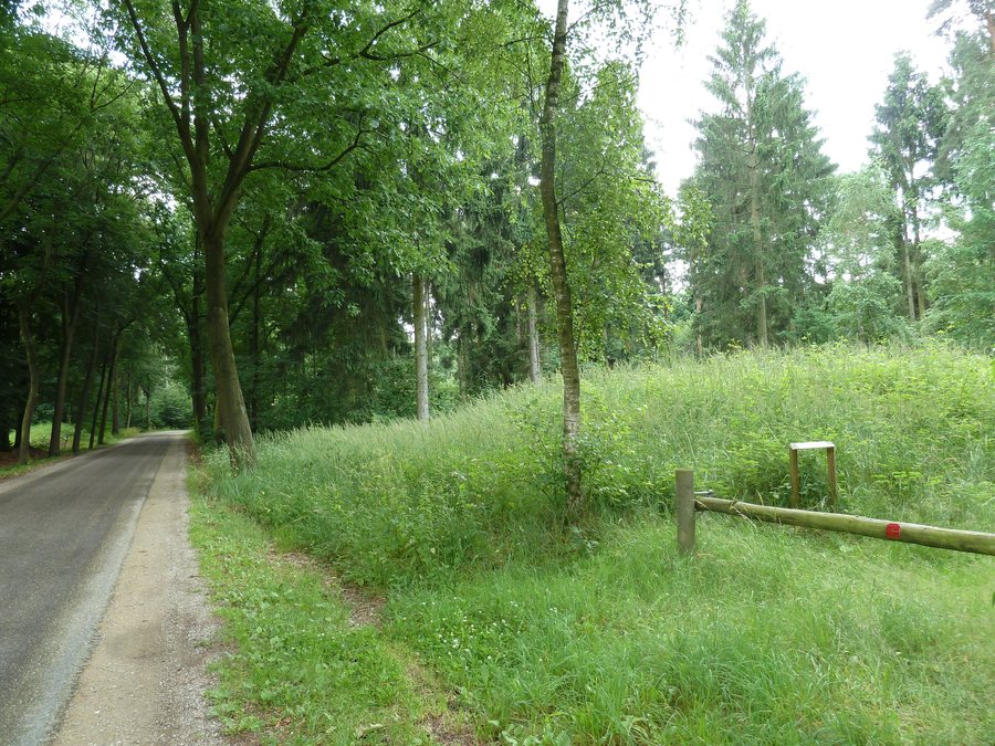 File:Swalmen-Grafheuvel Kroppestraat (1).JPG