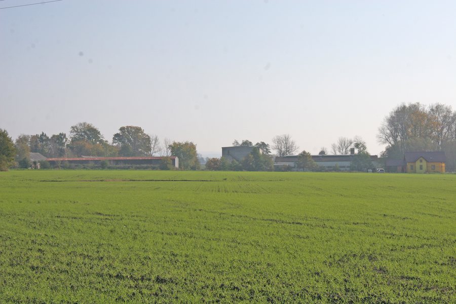 File:Dobříkov od Rzy.JPG