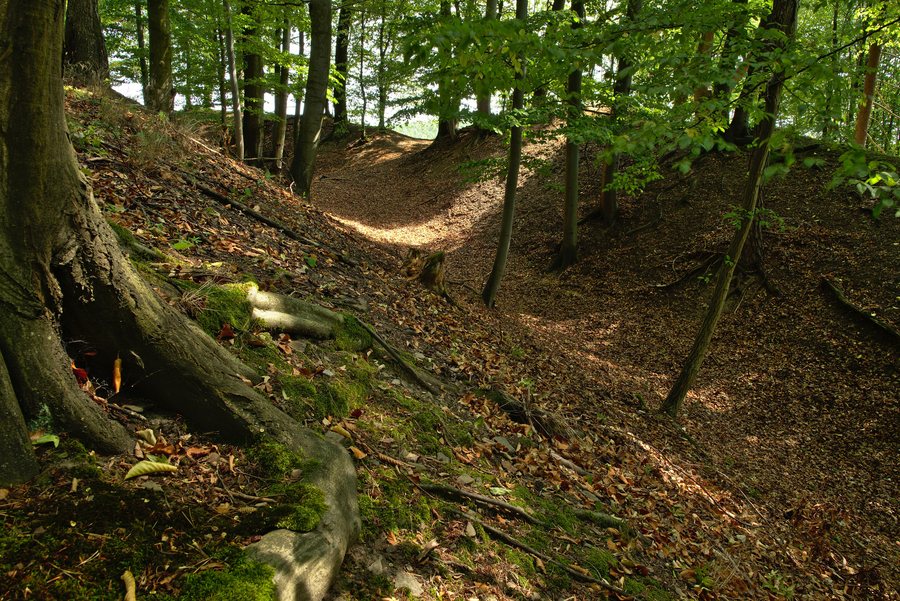 File:Zřícenina hradu Líšnice (02).jpg