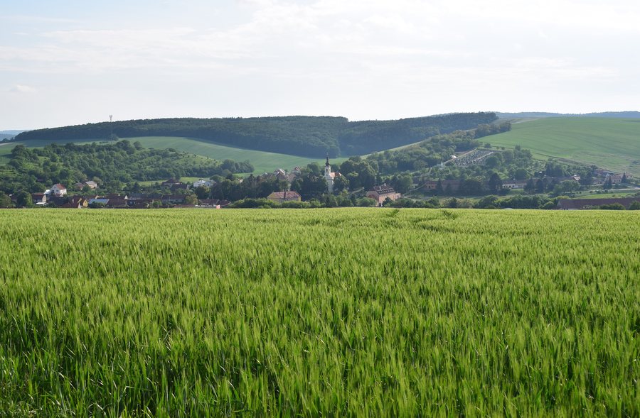 File:Milonice 05 2018.jpg