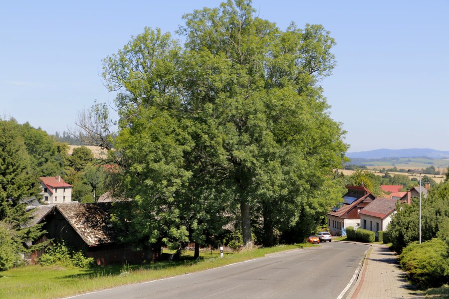 File:Stružinec, road No 284.jpg