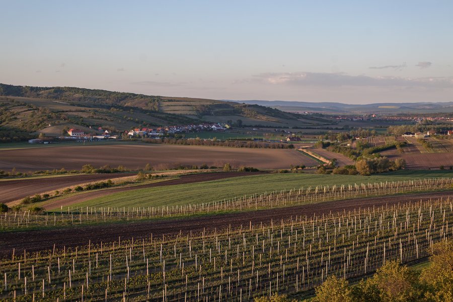 File:View of Kraví Hora (Bořetice) from Slunečná observation tower 2020 02.jpg