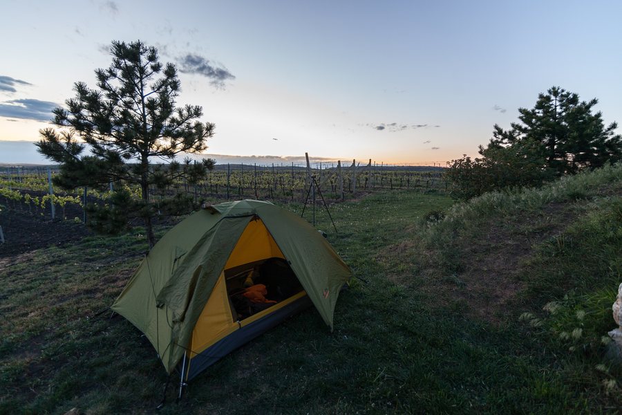 File:Tent in vineyards near Velké Pavlovice 2020.jpg