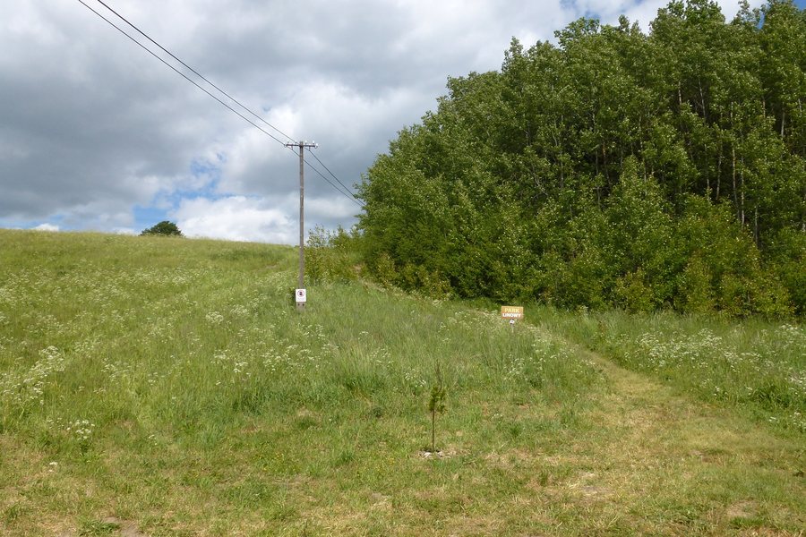 File:Przywidz, Poland - panoramio (1).jpg