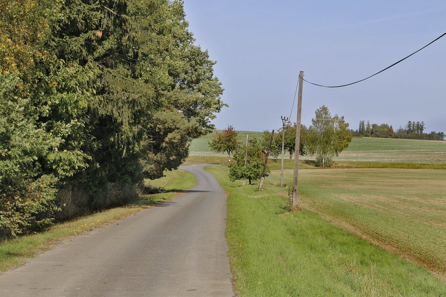 File:Road to Kříženec (Šebířov).jpg