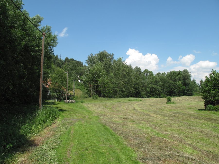 File:Václavský potok, okolní porost ve Václaví.JPG