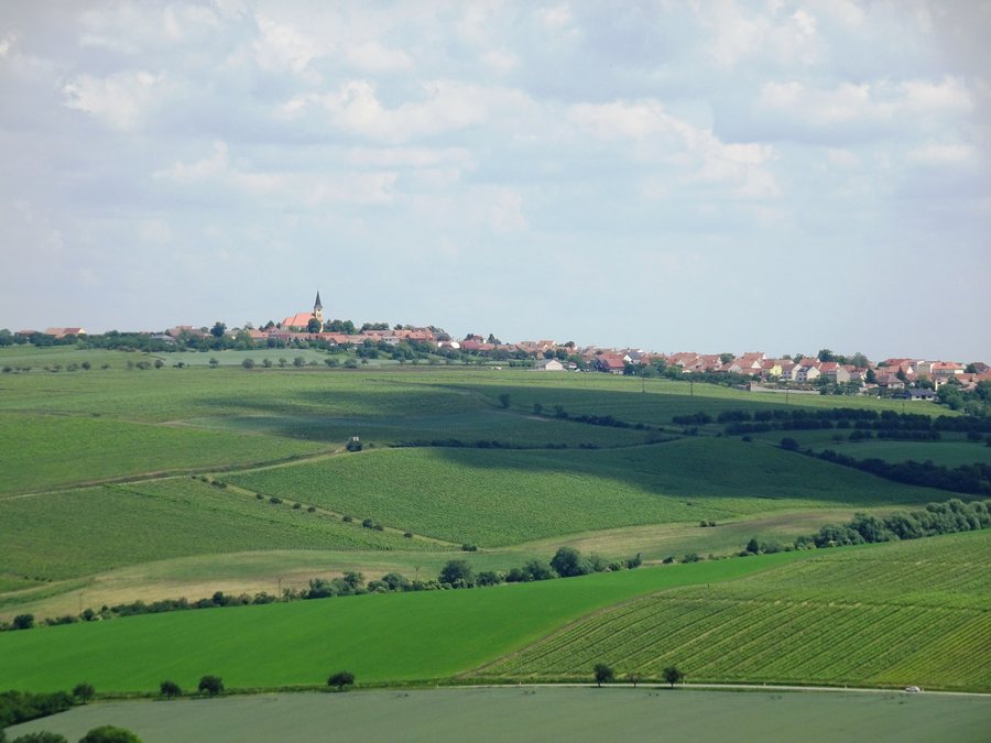 File:Vrbice (BV) z rozhledny Kraví hora.jpg
