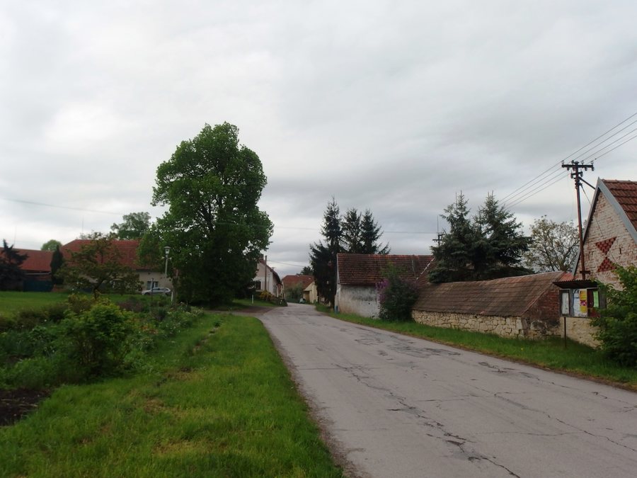 File:Stříhanov, hlavní ulice (1).jpg