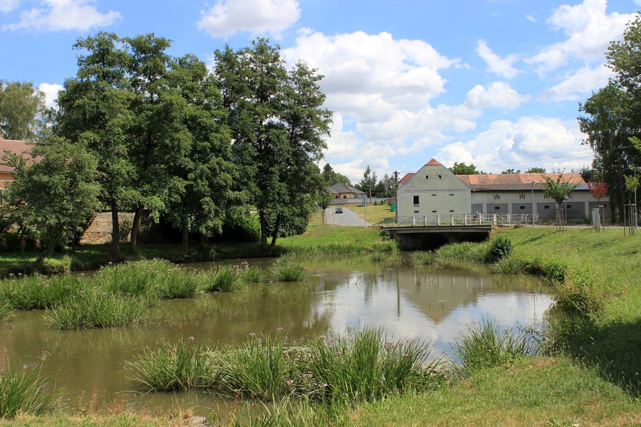 File:Drobovice, common pond.jpg