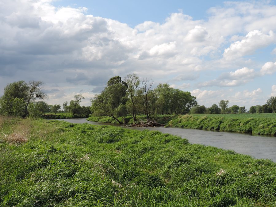 File:Prosna kz01.jpg