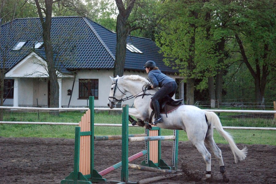 File:Stęszewko - Liljówka.JPG