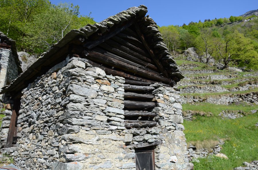 File:Margonègia Lavizzara 13.jpg