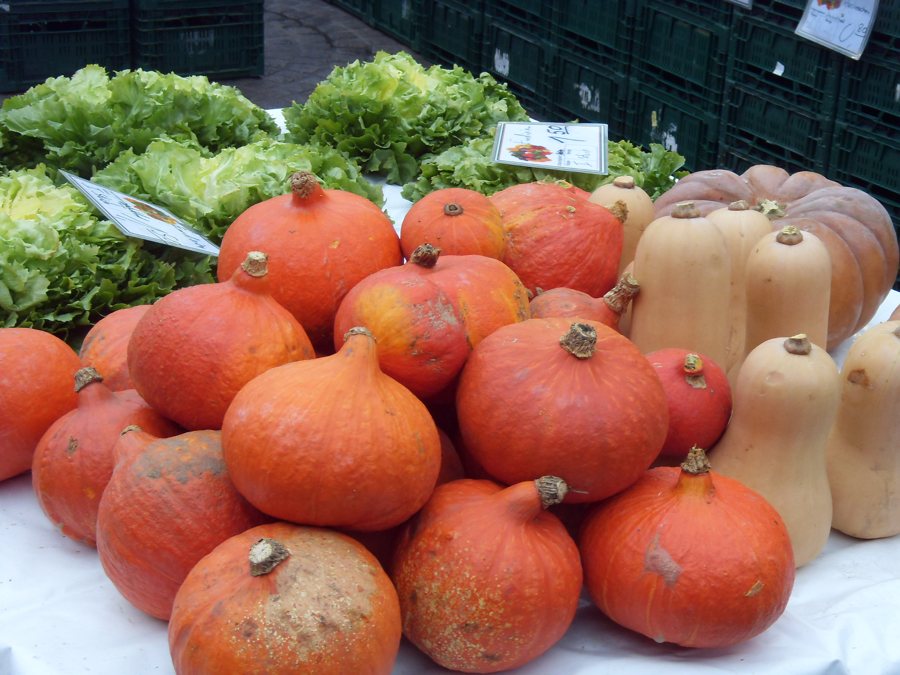 Citrouilles sur un marché d’automne