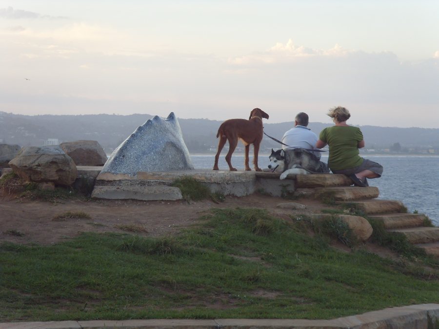 Vacances avec un chien près de l’eau