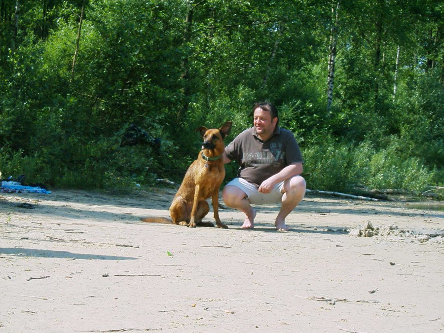 Chien sur une plage en Croatie