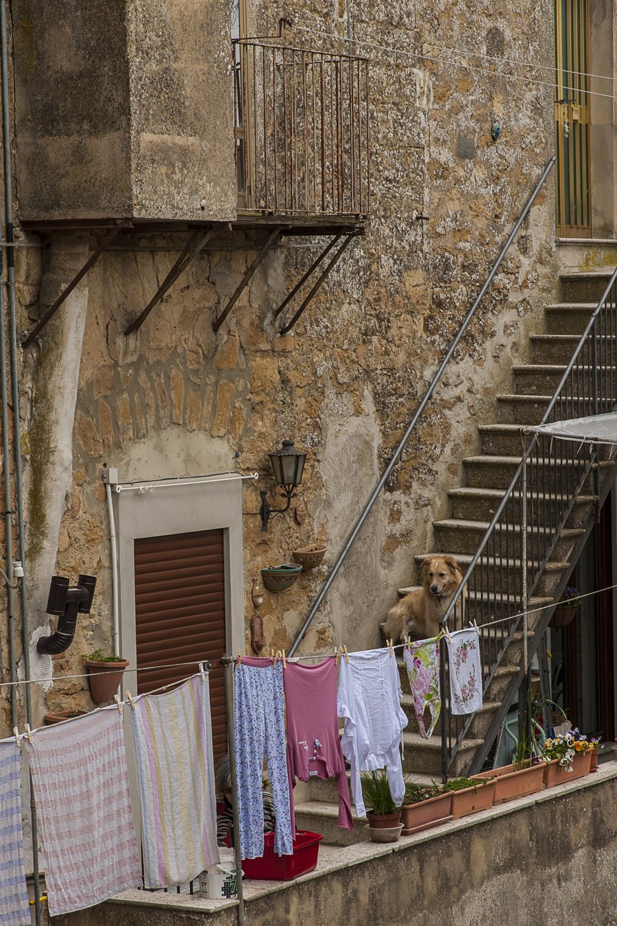 Chien près d’une maison en pierre en Sicile