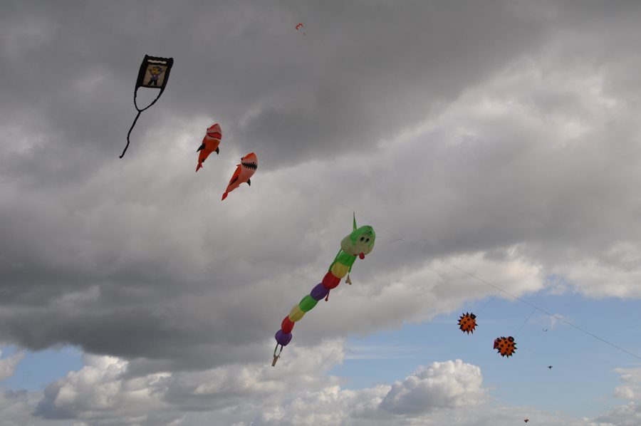 Fête en plein air