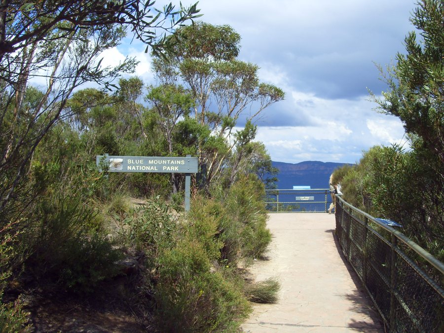 Sentier dans le parc national des Blue Mountains